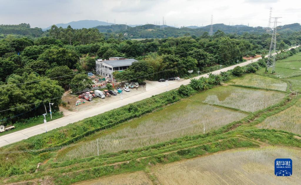 广东麻将推倒胡游戏